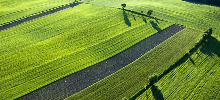 Εγκρίσεις-Εγγραφές Επιχειρήσεων Ζωοτροφών