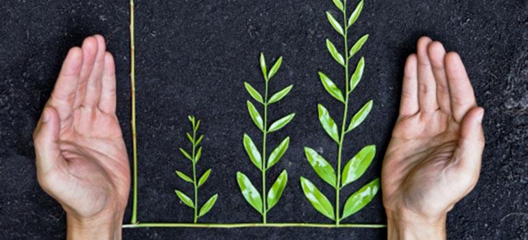 Αγροτουρισμός