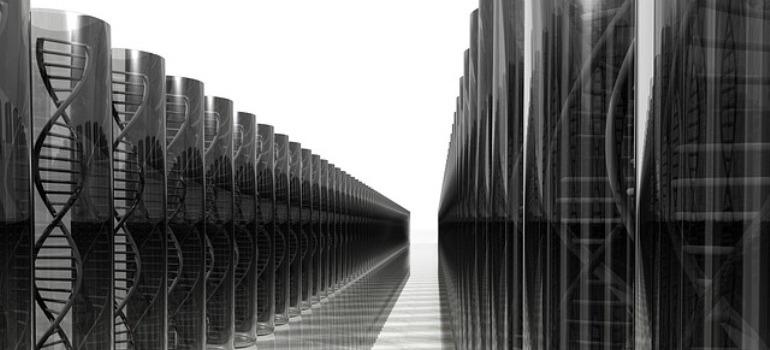 Animals used for scientific purposes