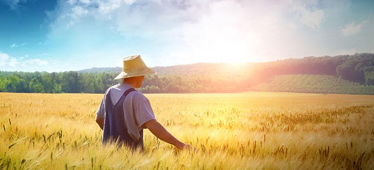 Προδημοσίευση 3ης Πρόσκλησης για την υποβολή αιτήσεων στήριξης προς ένταξη στο υπομέτρο 6.1 «Εγκατάσταση Νέων Γεωργών» του Προγράμματος Αγροτικής Ανάπτυξης (ΠΑΑ) της Ελλάδας 2014 – 2020»