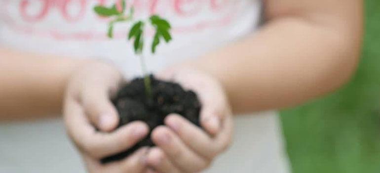 Περιφερειακό Κέντρο Προστ. Φυτών & Ποιοτικού Ελέγχου Μαγνησίας