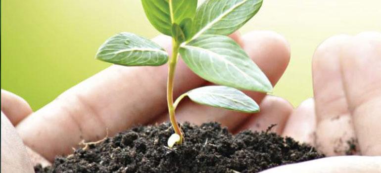 Περιφερειακό Κέντρο Προστ. Φυτών & Ποιοτικού Ελέγχου Καβάλας