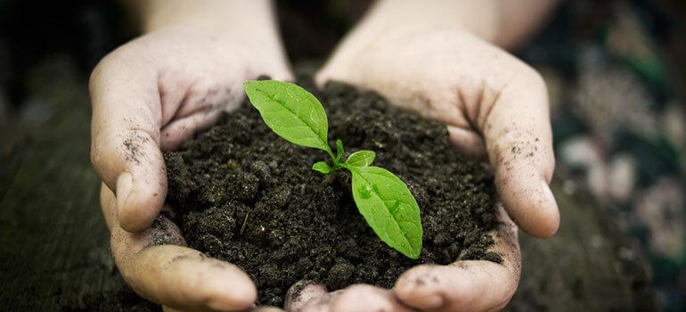 Περιφερειακό Κέντρο Προστ. Φυτών & Ποιοτικού Ελέγχου Καβάλας