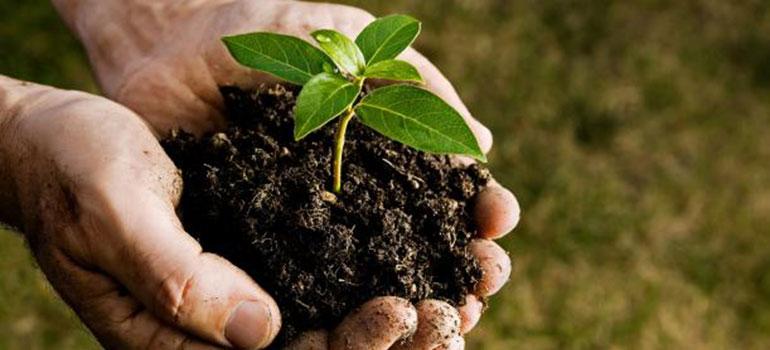 Περιφερειακό Κέντρο Ηρακλείου, Προστασίας Φυτών, Ποιοτικού & Φυτοϋγειονομικού Ελέγχου Περιφερειακό Κέντρο Προστ. Φυτών & Ποιοτικού Ελέγχου Ηρακλείου