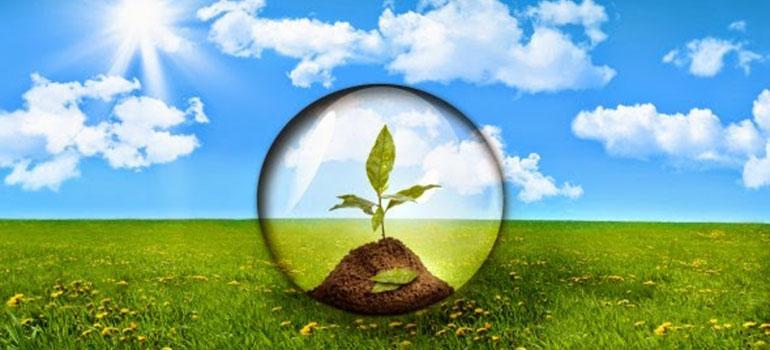 Βάση δεδομένων με βιολογικούς σπόρους σποράς