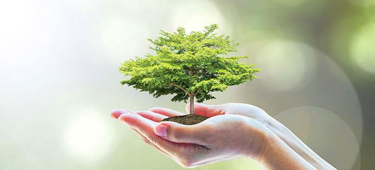 Περιφερειακό Κέντρο Προστ. Φυτών & Ποιοτικού Ελέγχου Ιωαννίνων