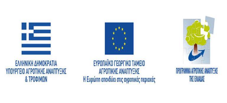 foto typos220425