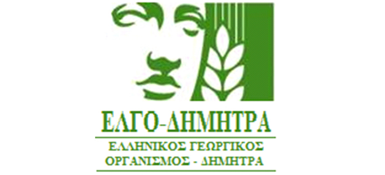 FOTO TYPOSNEW