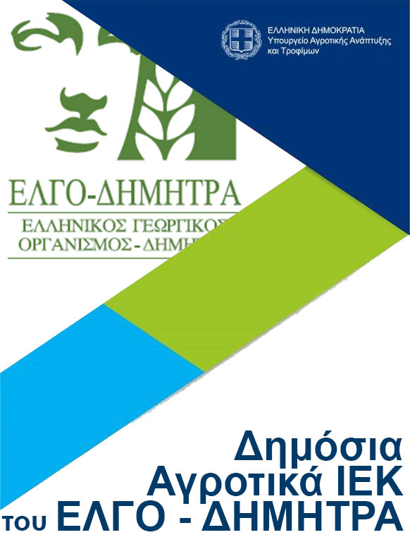 Ελγο Δήμητρα
