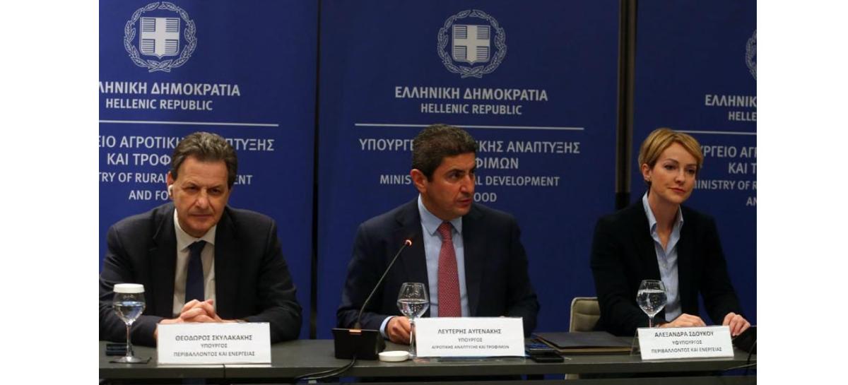 fototypos0202241