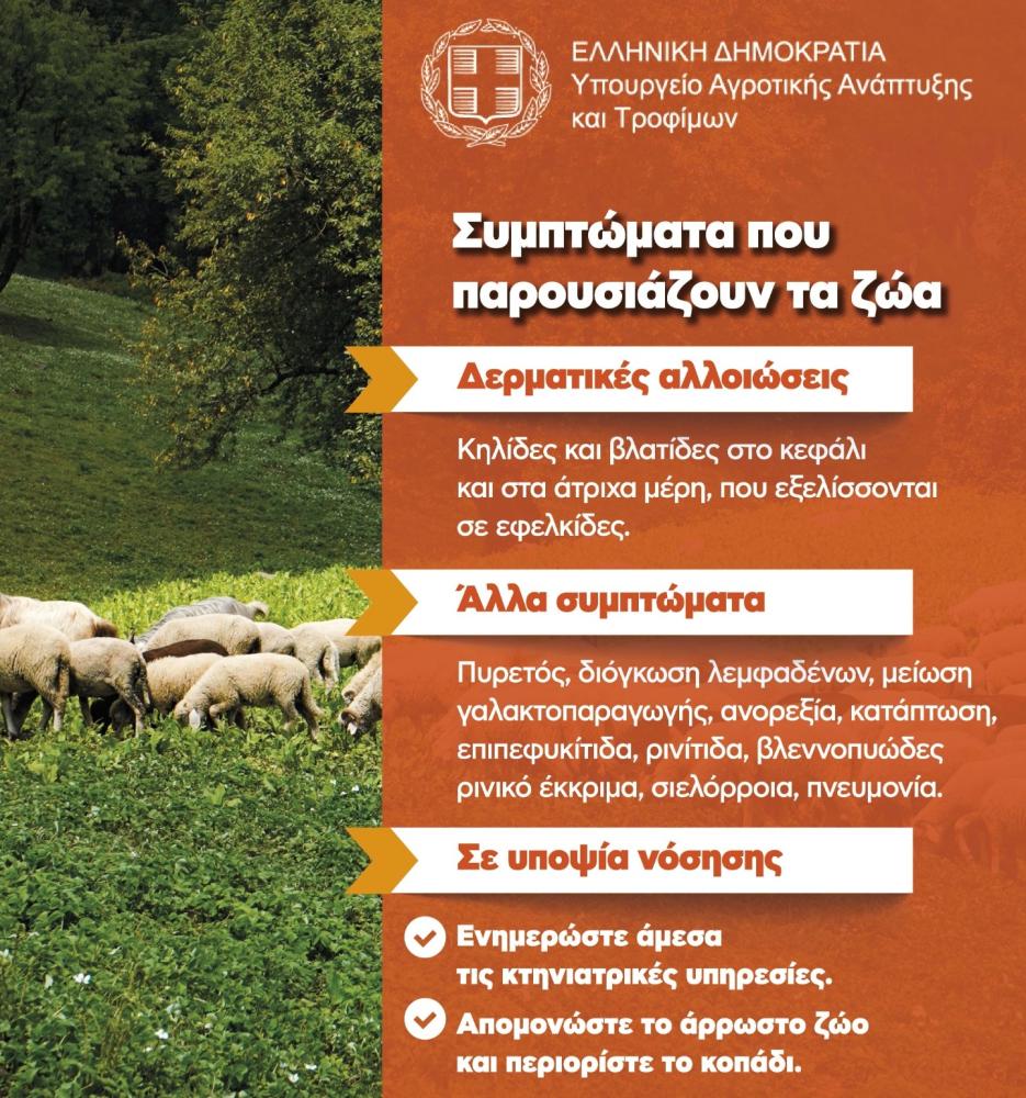 fototypos2410243n