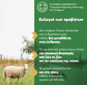 fototypos2410241n