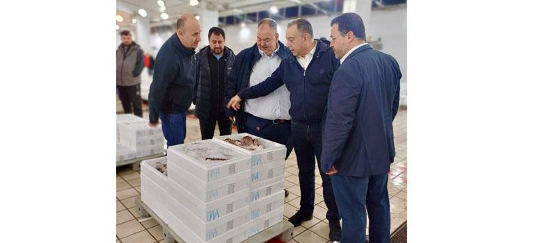 fototypos0404252