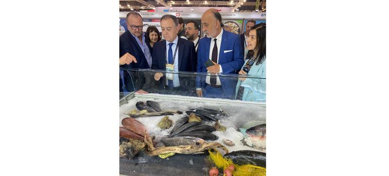 fototypos090525a1 fototypos090525a1