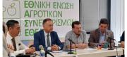 fototypos1407251