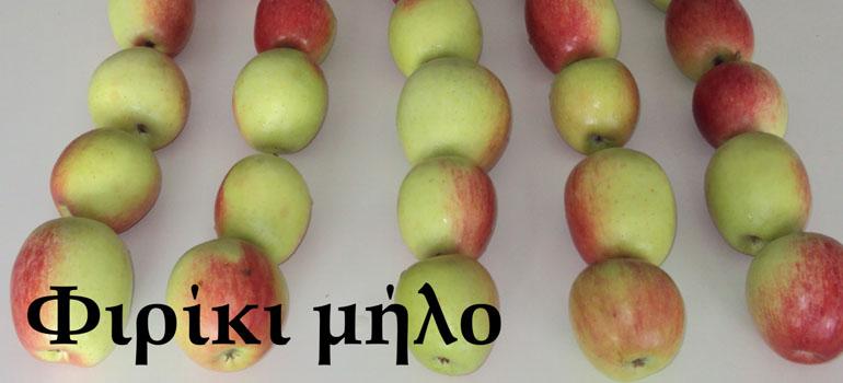 8programmagenetikousporous0302266