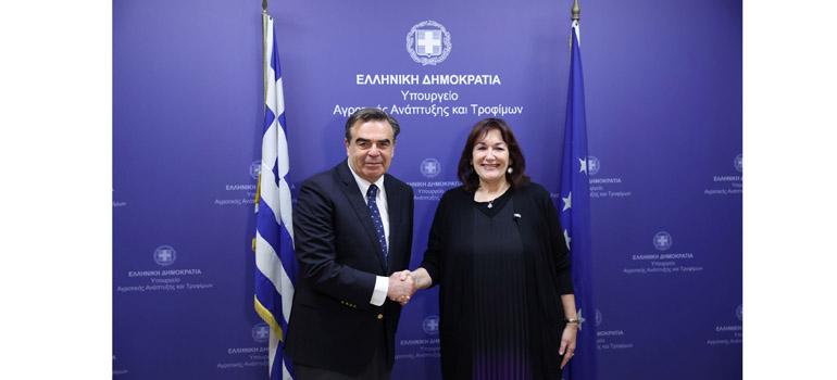 fototypos2304261