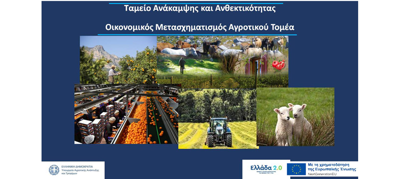 foto typos260822