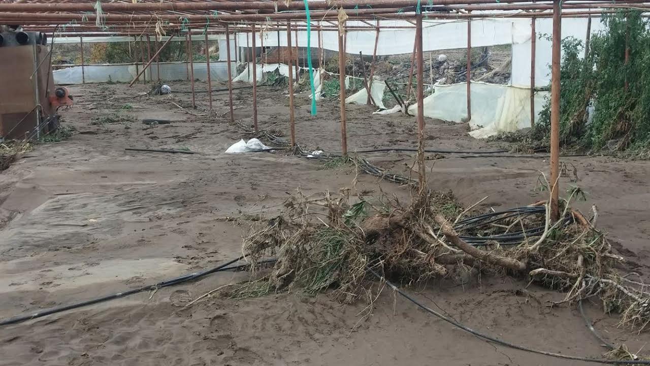 foto typos031216 zimies