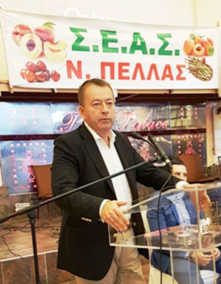 foto typos171017