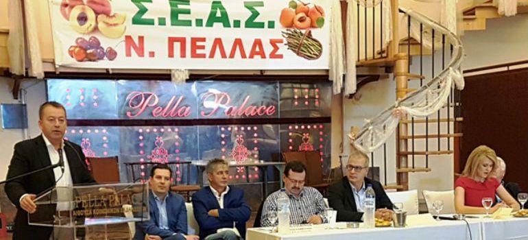foto typos171017 1