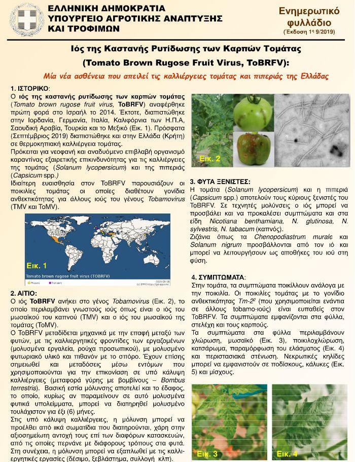 ToRFV nppo tomato bpi 1