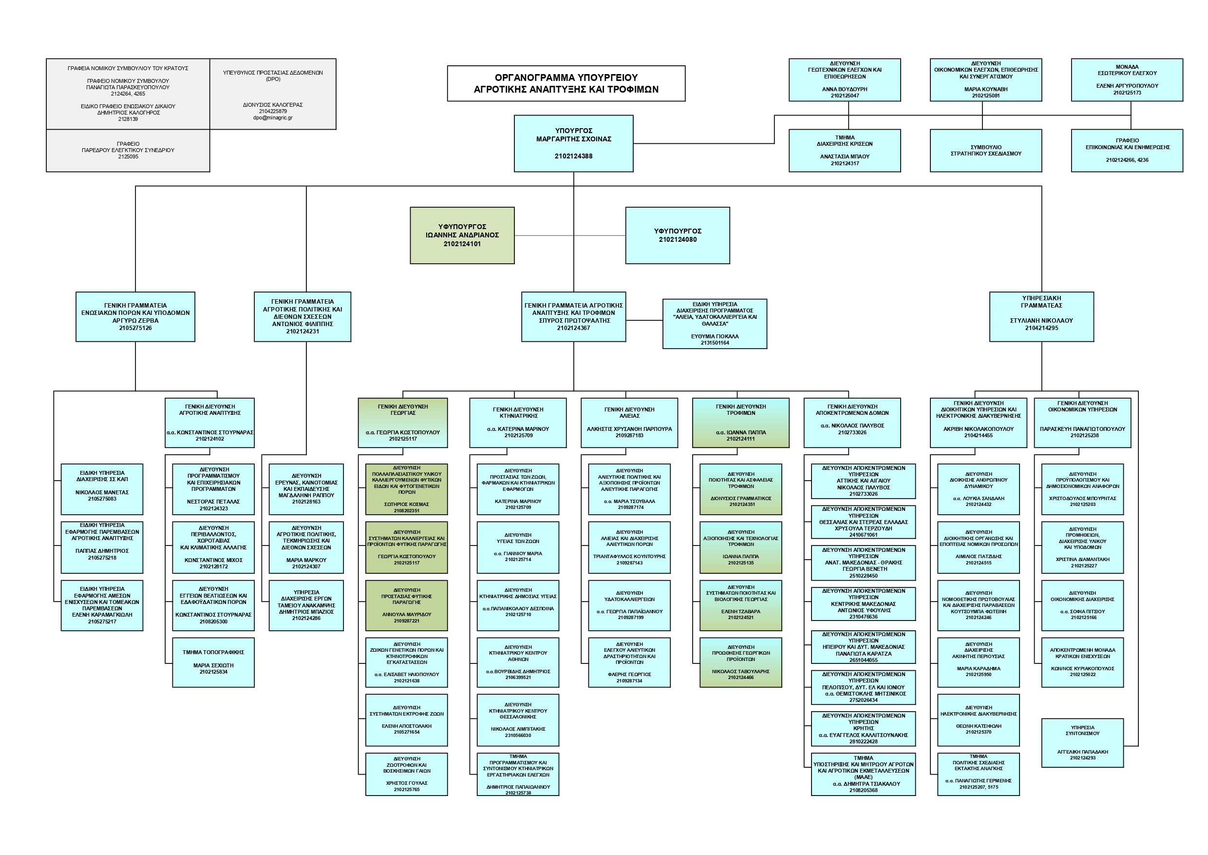 organogramma_sxoinas060426