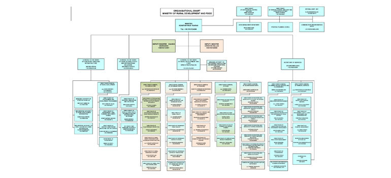 organogramma_tsiaras120824_en